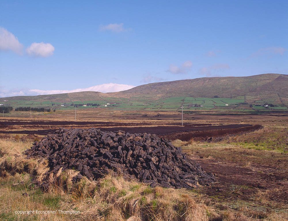Cutting peat for cgarden compost